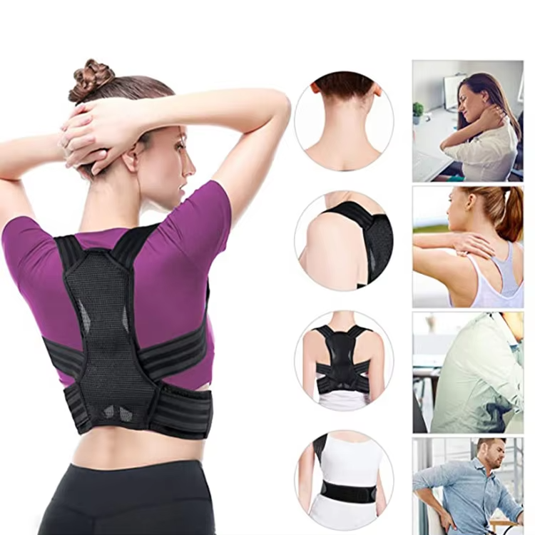 back brace posture corrector Distributor back brace posture corrector Distributor