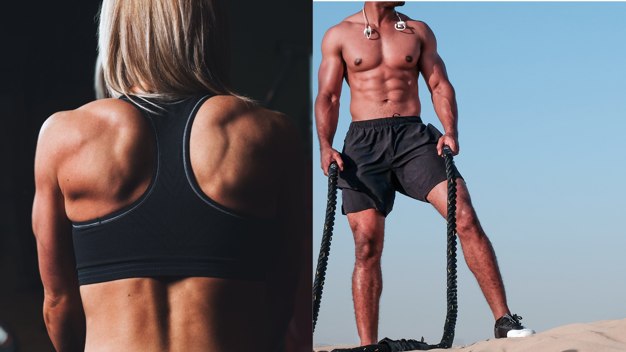 resistance band exercises