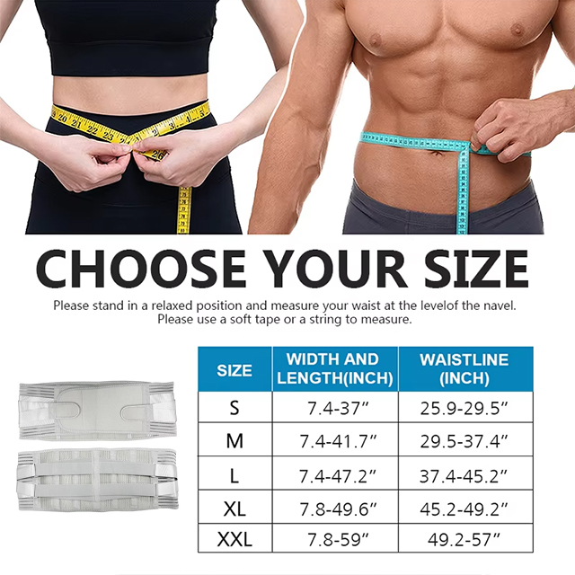 waist support belt Distributor
