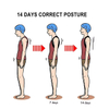 posture correction brace Distributor