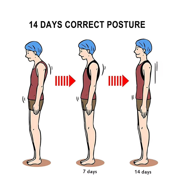 posture correction brace Distributor
