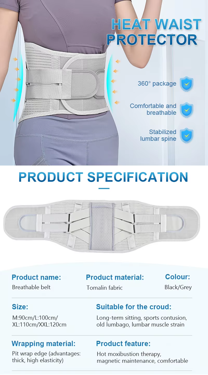 waist brace support Trader