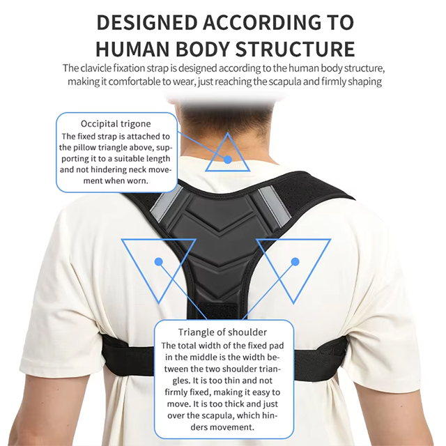 posture correction brace Distributor
