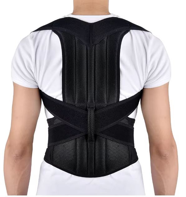 back correction belt Distributor