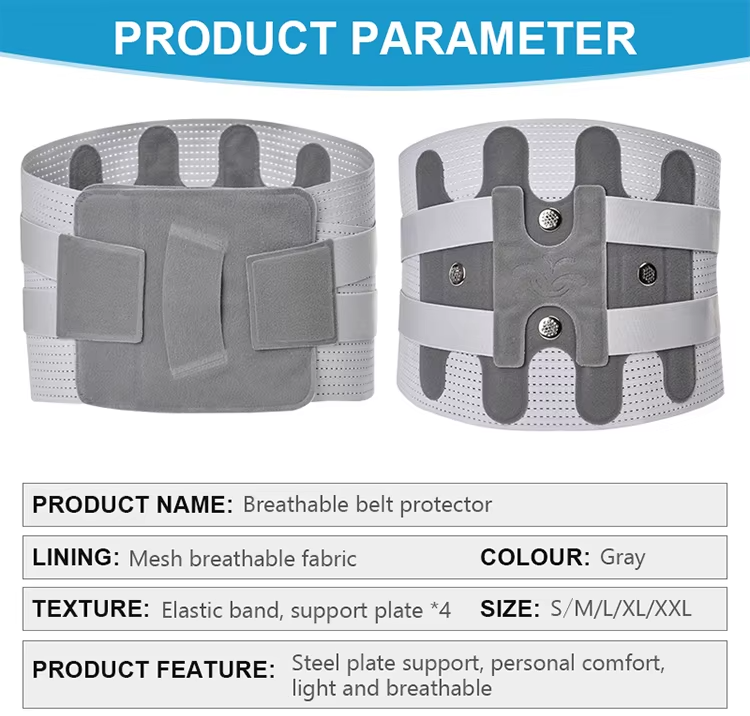 waist belt for back pain Distributor