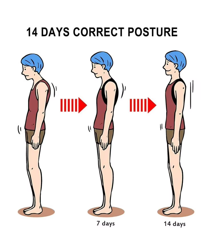 back brace and posture corrector Manufacturer