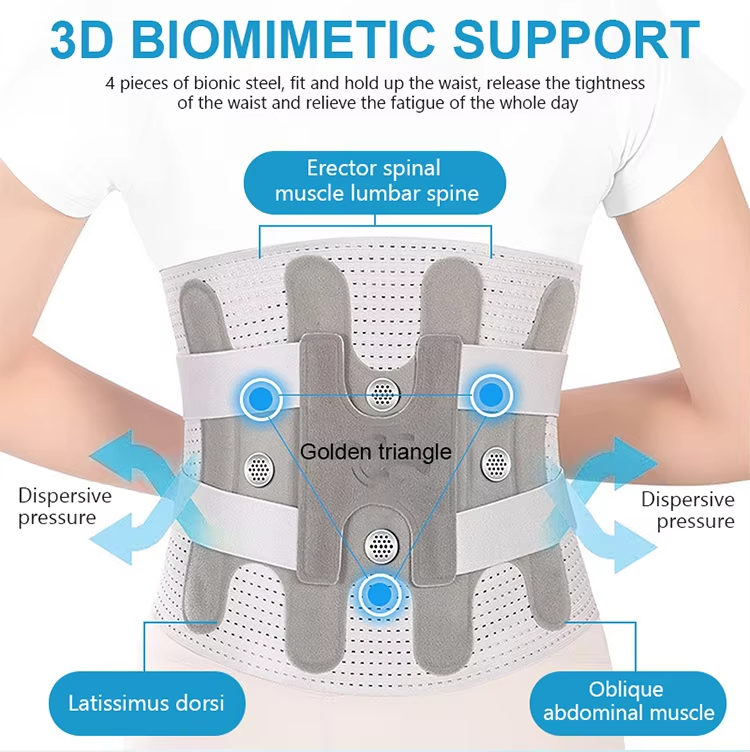 waist back support Wholesale