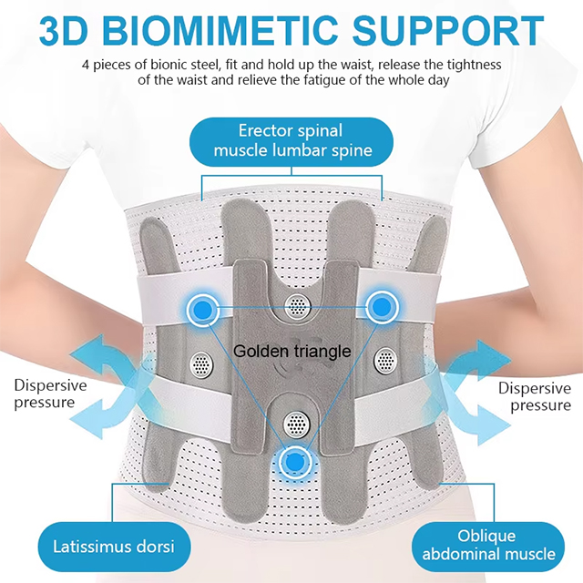 waist support band Factory
