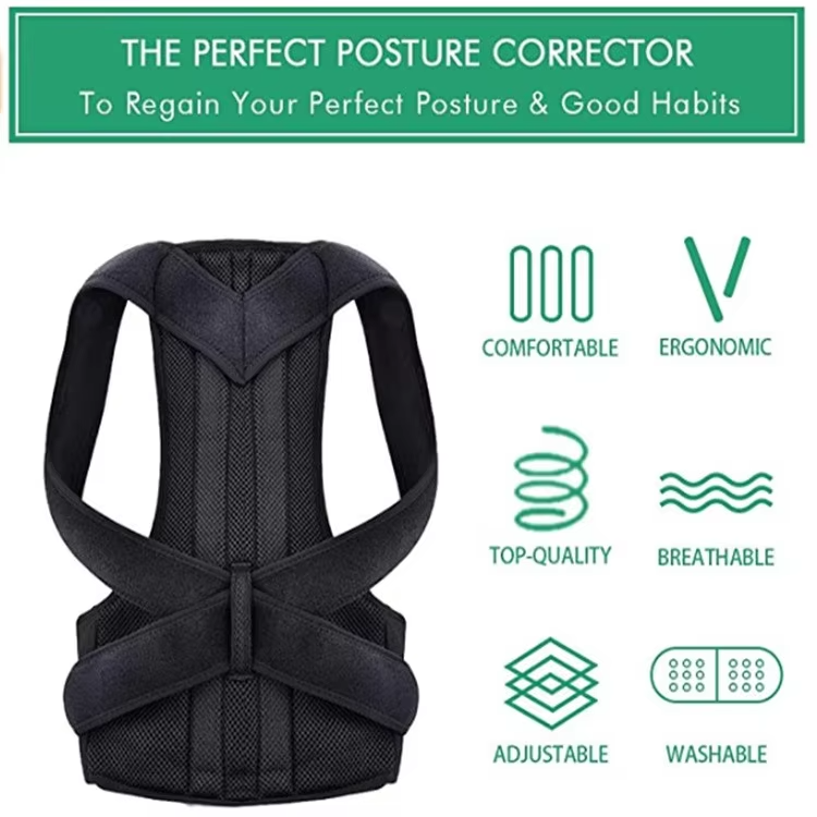 chiropractic posture corrector Trader