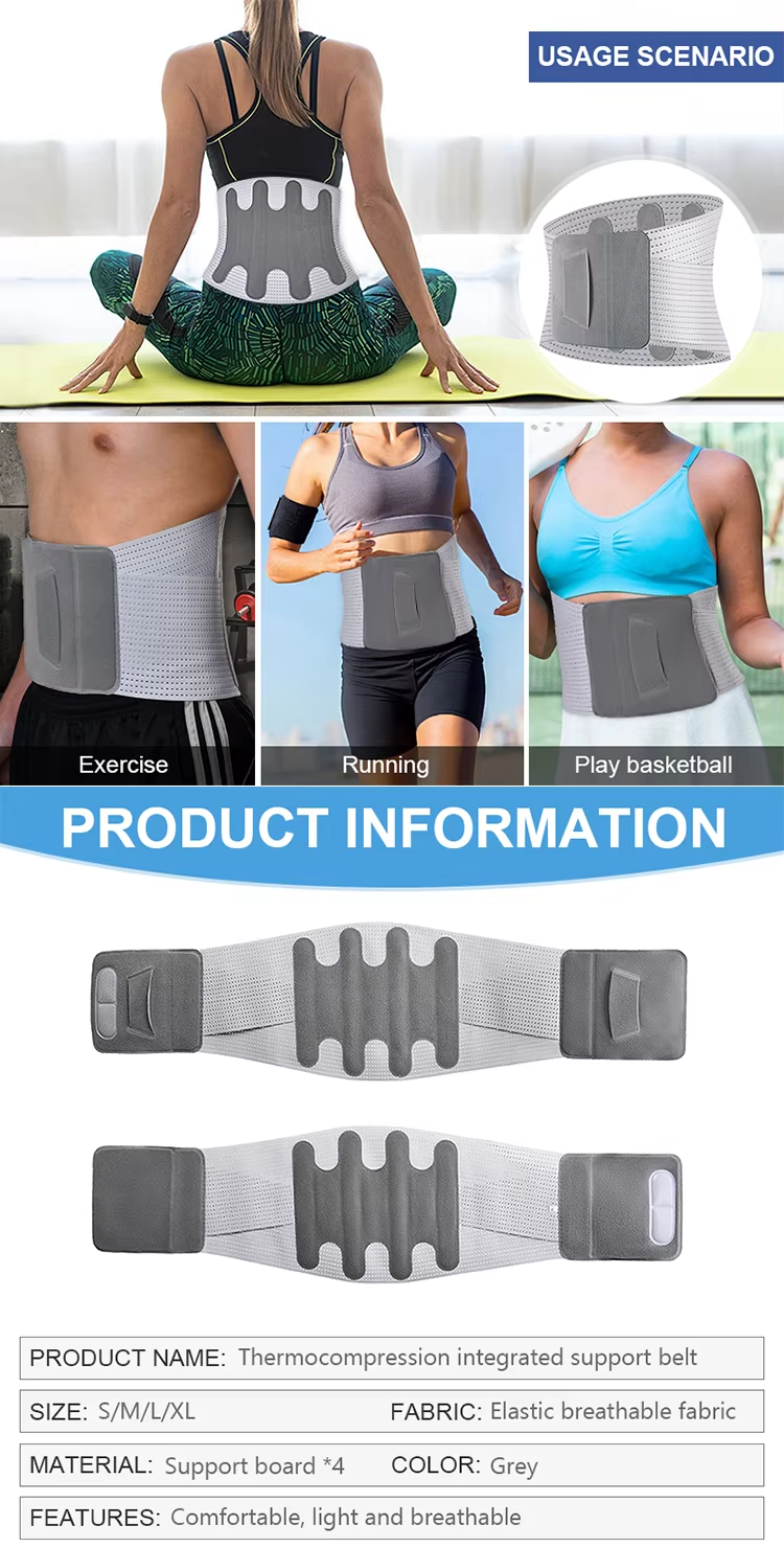 waist belt for back pain Quotation