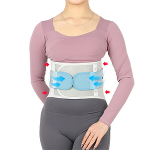waist support Distributor