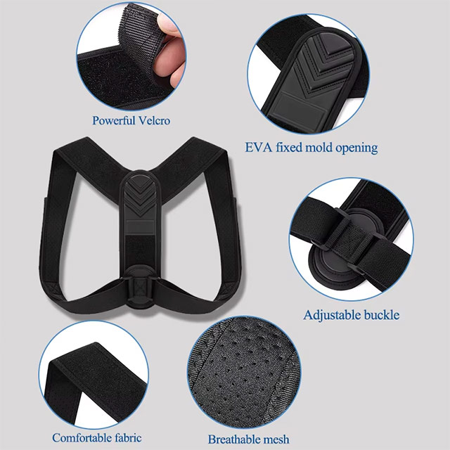 backbone corrector belt Supplier