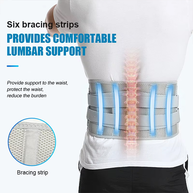 waist supporter Bulk