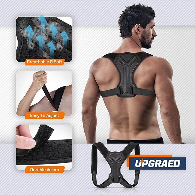 belt for good posture Distributor